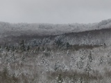 Frosted Brown Mountainside