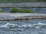 Rocks on the Rivers Edge