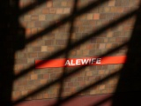 Alewife