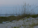 Cocoa Beach Dunes