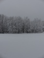 Field of Snow