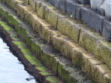 Breakwater Ledges