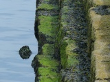 Breakwater Stripes