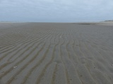 Lines in the Sand