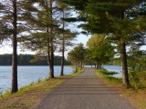 Path through Ashley Reservoir