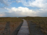 Boardwalk Journey