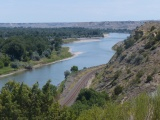 Tracks by the Yellowstone River