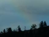 Rainbow with Tree Silhouettes