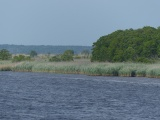 Winyah Bay