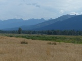 Grasses and Mountains