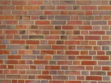 Variety of Bricks