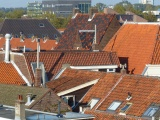 Jumble of Roofs