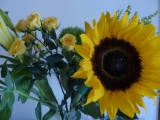 Sunflower Bouquet