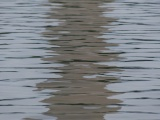 Tidal Basin Ripples