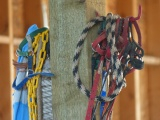 Colorful Halters