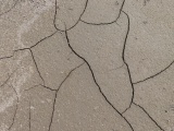 Lines of Cracks