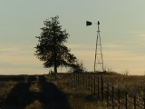 Fence Line