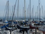 Boats at Fishermans Wharf