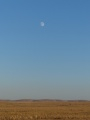 Oregon Rising Moon