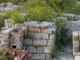 Flowers admidst Bricks