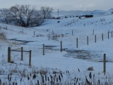 Creek through the Fences