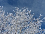 Frost in the Sky