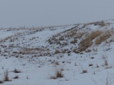 Snow on Softly Rolling Slopes