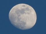 Gibbous Moon