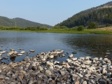 Across the Big Hole River