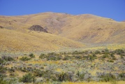 Hills near Carey