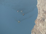 Four Rowers