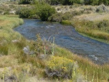 Birch Creek of Idaho