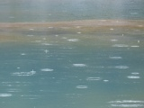 Raindrops in a Geyser Basin