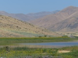Lava Lake Landscape