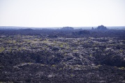 Field of Lava in the Morning