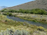 Birch Creek near Lone Pine