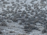 Textured Winter Landscape