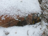 Snow on a Rock