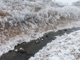 Winter Stream