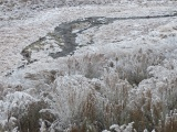 Stream in Winter