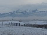 Winter Fields