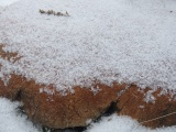 Snow on a Rock II