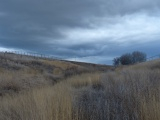 Overcast Slopes in March