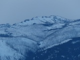 Tree Trunks shading the Mountain