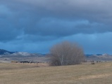 Montana Skies