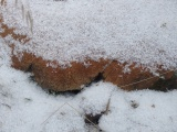 Snow on a Rock III