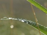 Sun Reflections after Showers