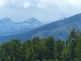 A Pointy Peak over Trees