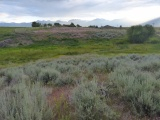 Montana Evening Landscape