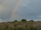 June Rainbow